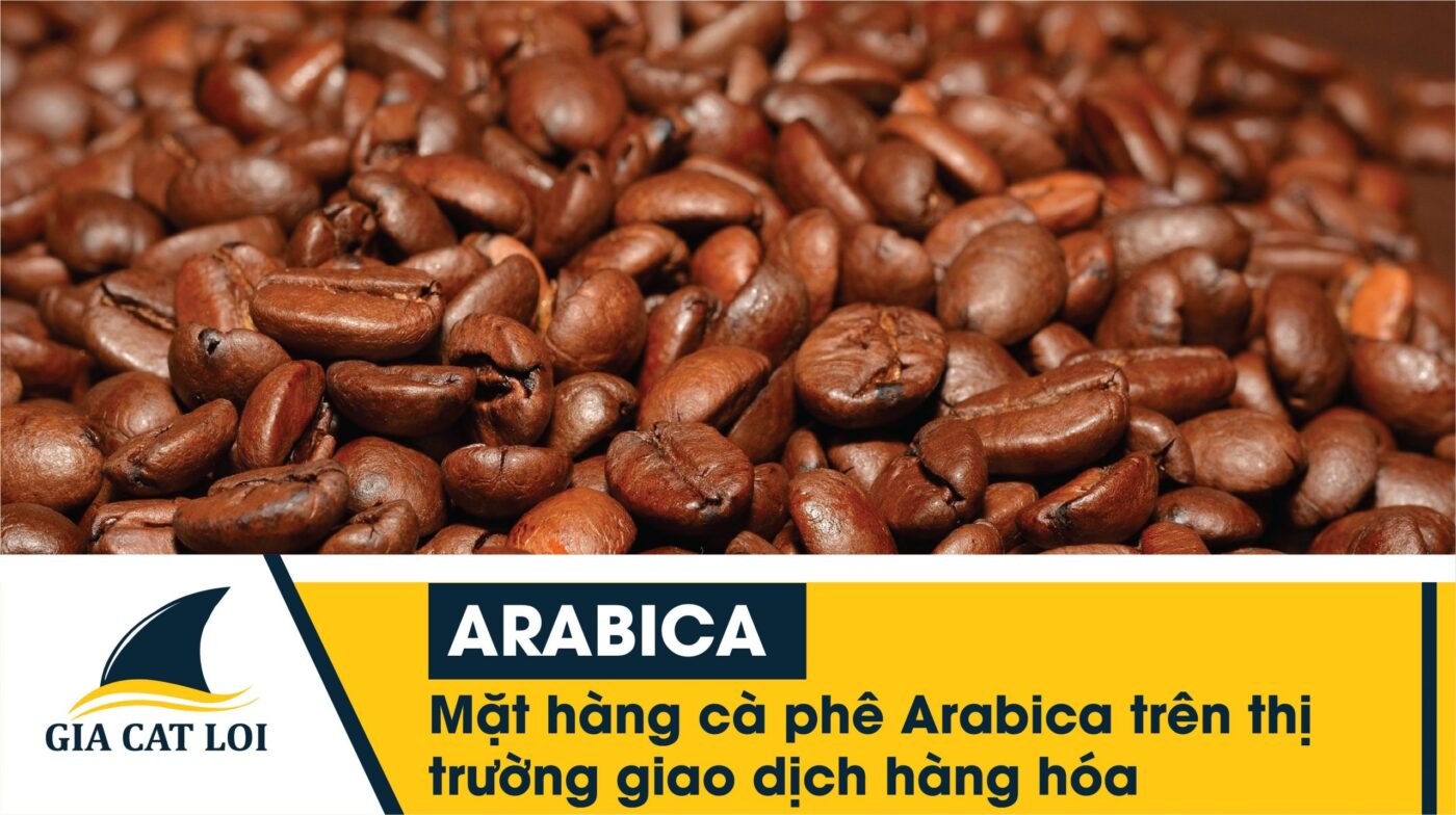 Hạt cà phê Arabica - loại cà phê đắt giá và được ưa chuộng nhất thế giới